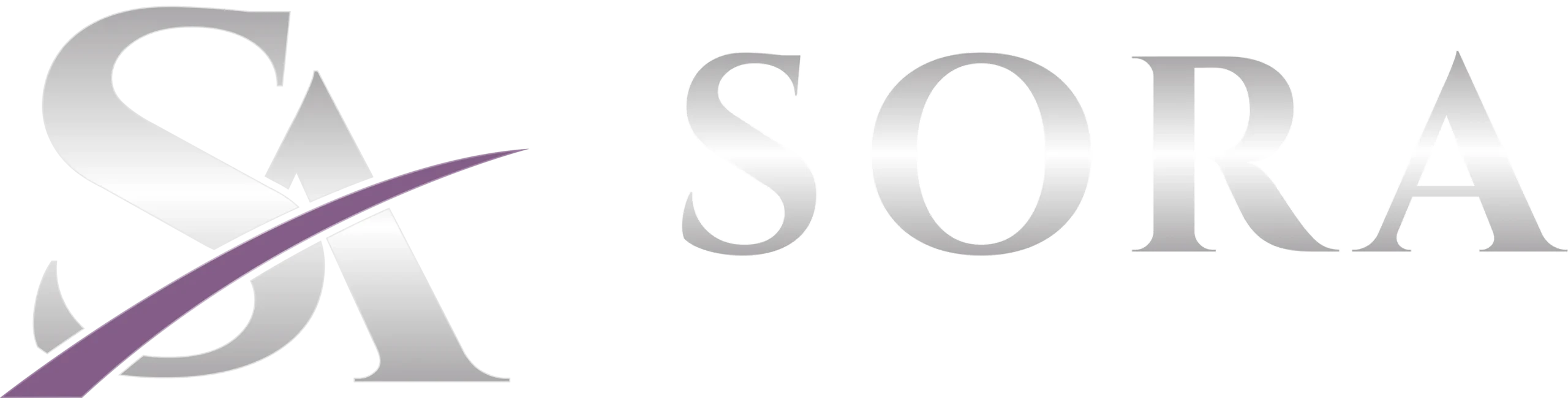 SoraAcquisitions_Logo_Reverse_Horizontal